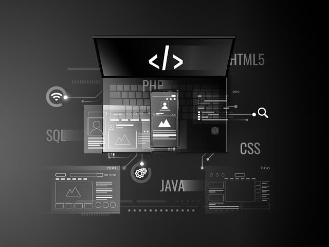 Professional Web Developers